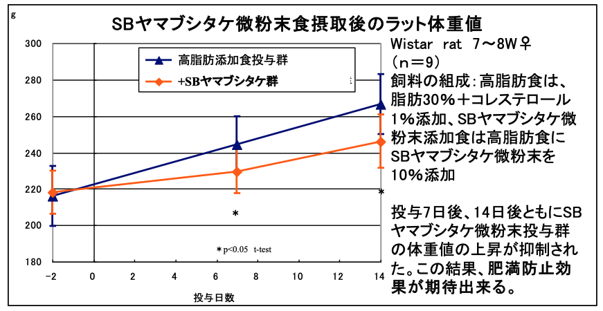 ２．Examination of obesity prevention effect of Yamabushitake