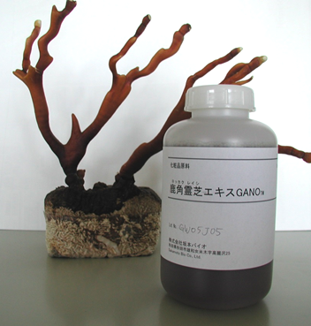 Antler Reishi Extract GANO