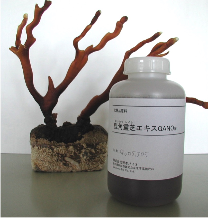 Antler Reishi（Rokkakureishi）Extract