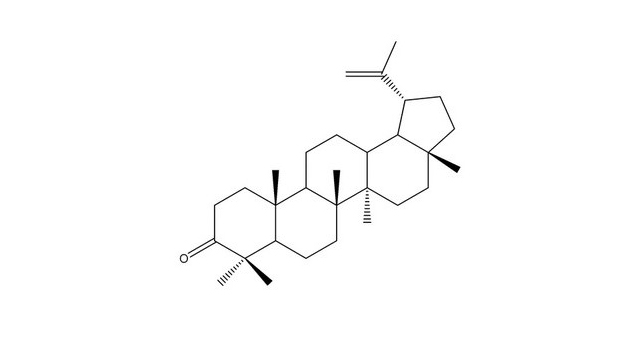 Lupeol (Research Reagent Lupeol)