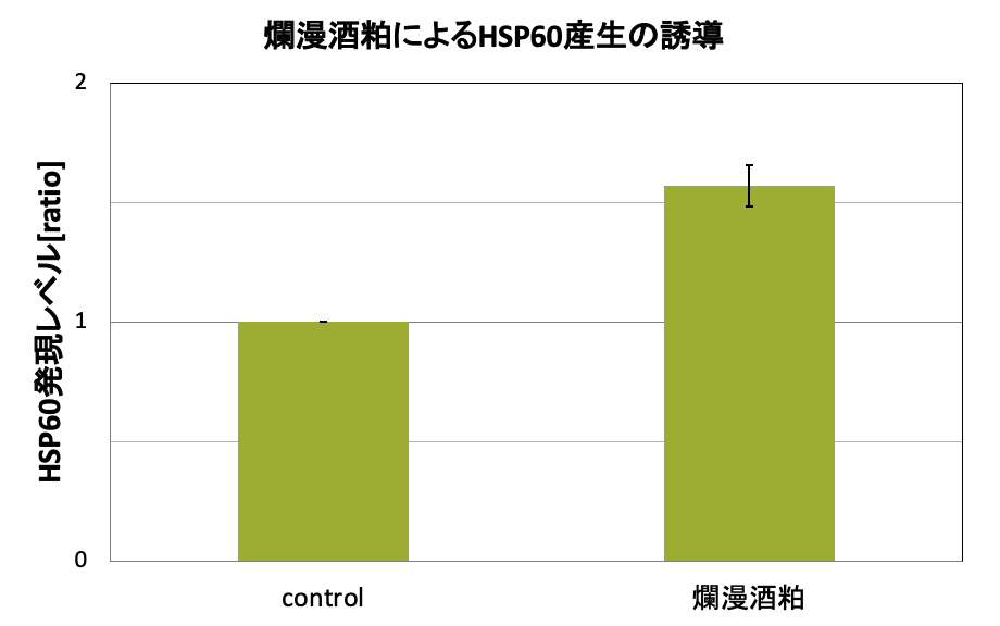 １．爛漫酒粕のHSP60発現誘導