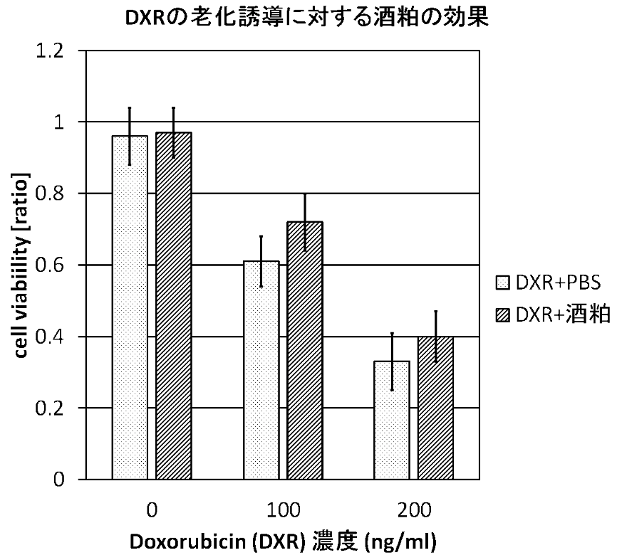 ３．爛漫酒粕による抗Doxorubicin老化誘導